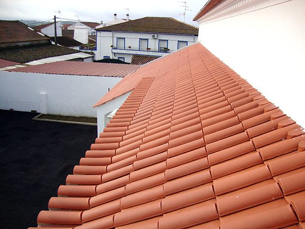 DSC02592.jpg